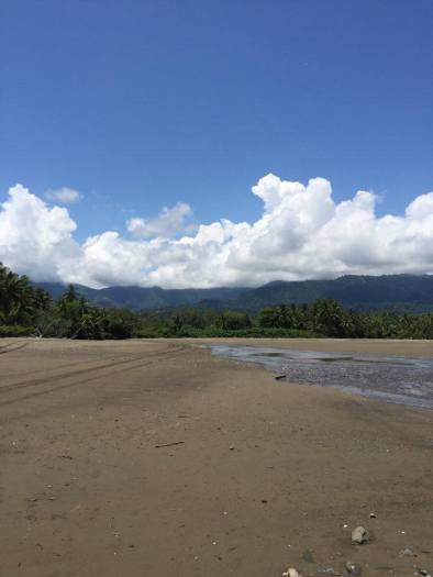 13407562_10209639624368110_1964210449_n