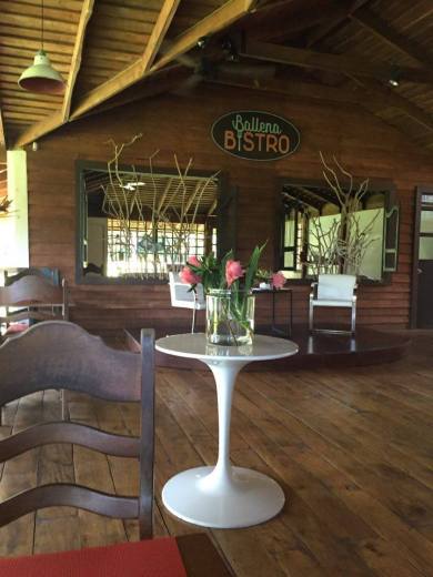 13407728_10209639625328134_1126253345_n