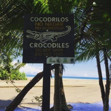 13414099_10209639625448137_453047718_n