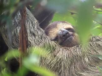 13595448_10209853684799487_822786540_n