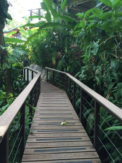 13595674_10209853685159496_1545727317_n