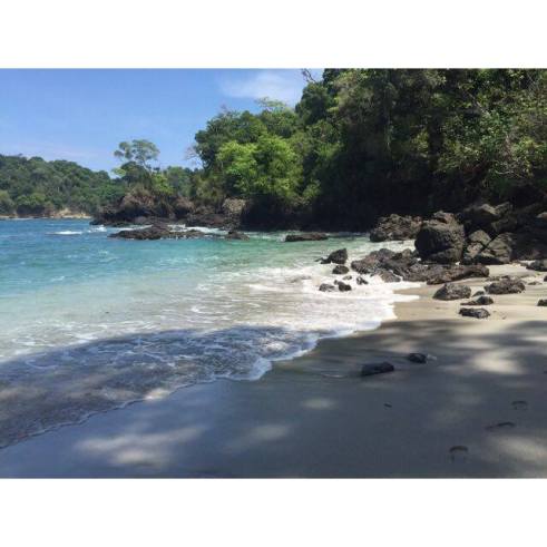 13599628_10209853685079494_1159401426_n