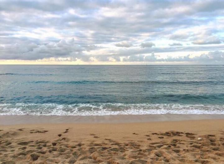 Swimming Through the&nbsp;Snow