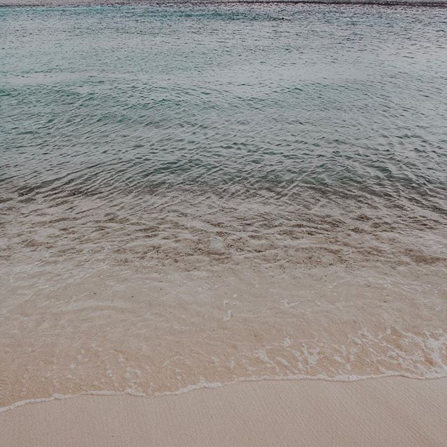 56890517_424145691730469_6522553327490277065_n